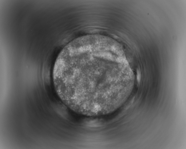 X0000086930267200705141748