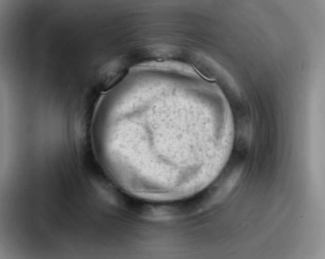 X0000086930268200705141748