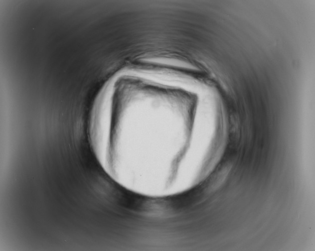 X0000086930269200705141748