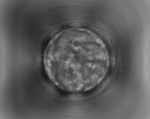 X0000086930271200705141748