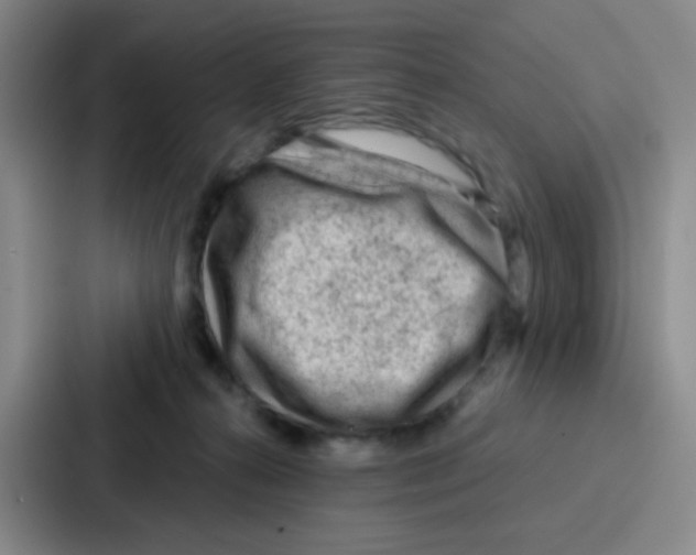 X0000086930272200705141748