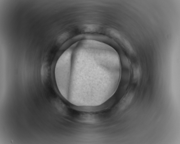 X0000086930276200705141748