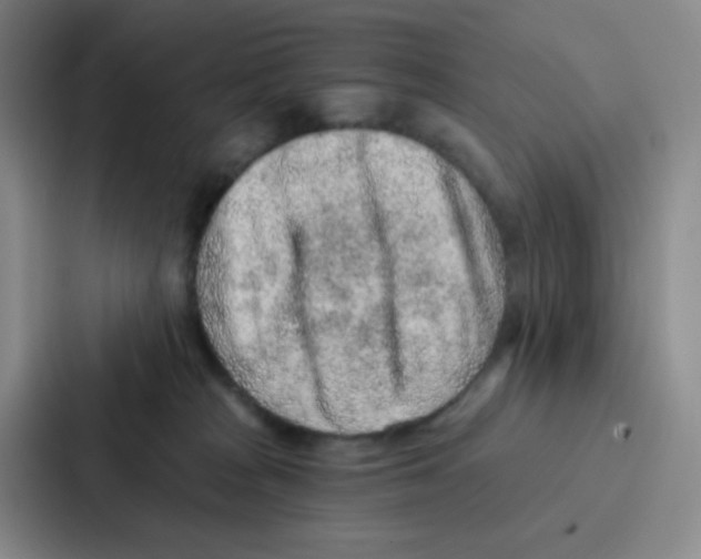 X0000086930277200705141748