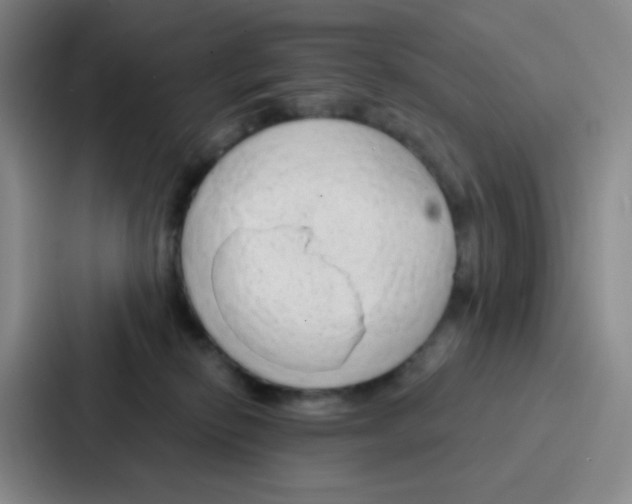 X0000086930278200705141748