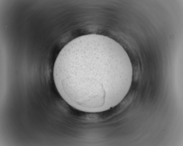 X0000086930279200705141748