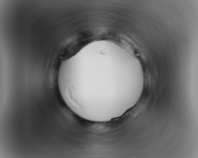 X0000086930280200705141748