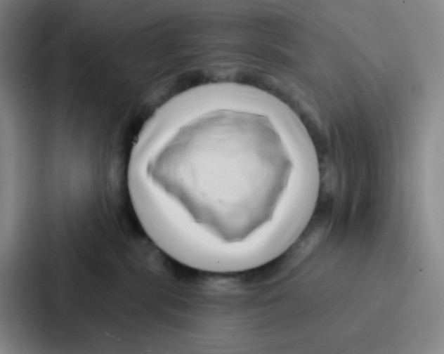 X0000086930283200705141748