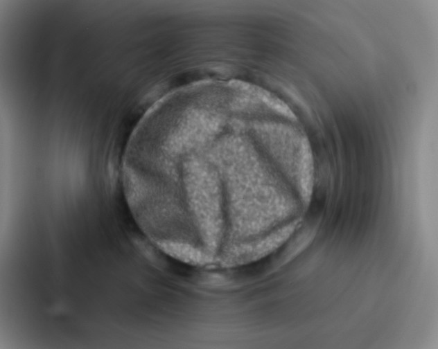 X0000086930285200705141748