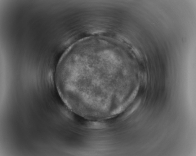 X0000086930286200705141748