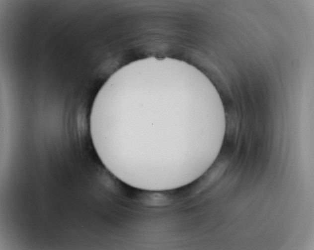 X0000086930287200705141748