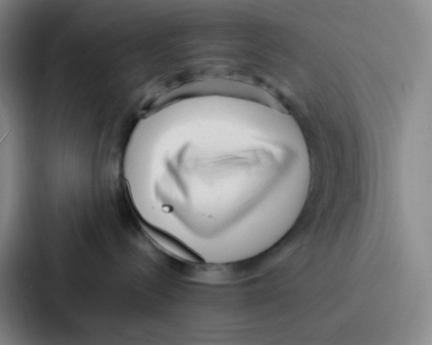 X0000086930288200705141748