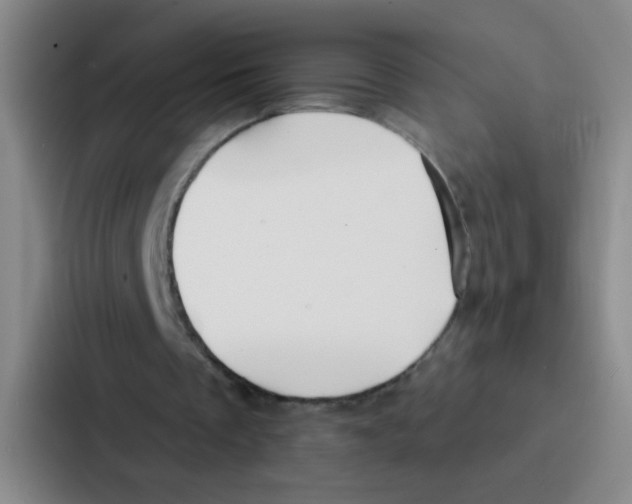 X0000086930289200705141748