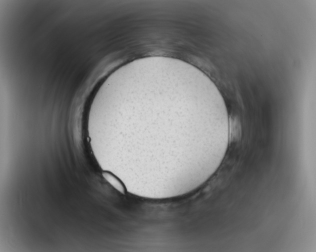 X0000086930291200705141748