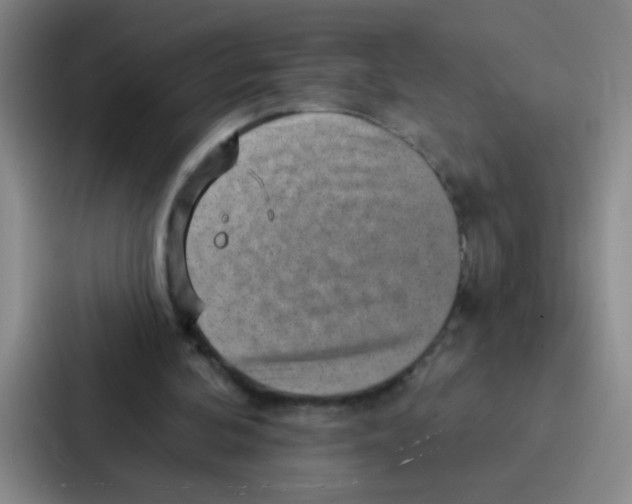 X0000086930292200705141748