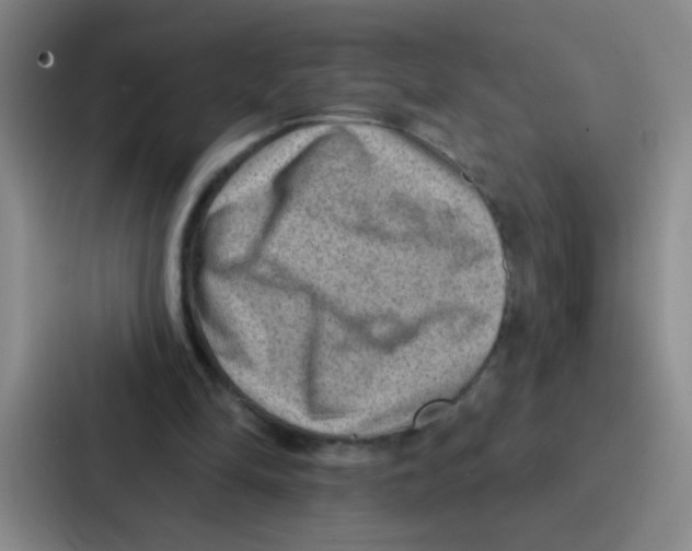 X0000086930294200705141748