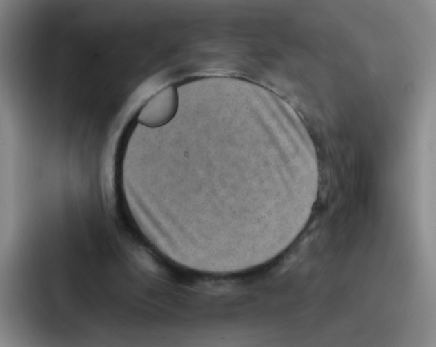 X0000086930296200705141748