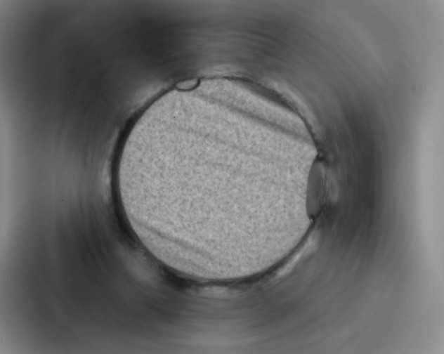 X0000086930298200705141748