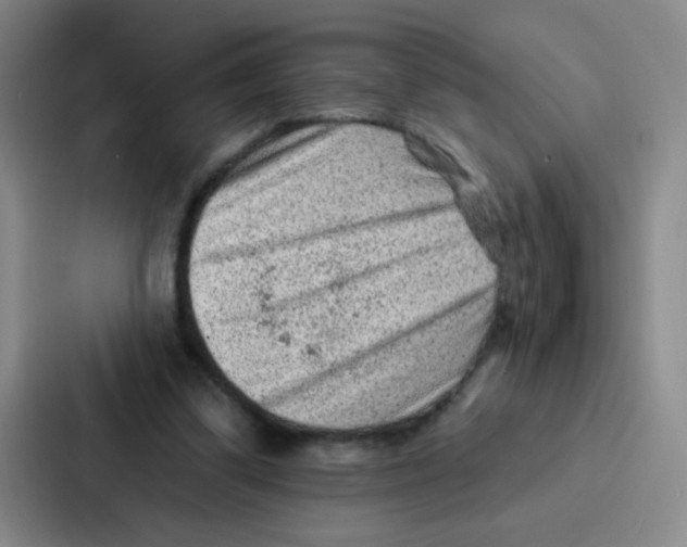 X0000086930299200705141748