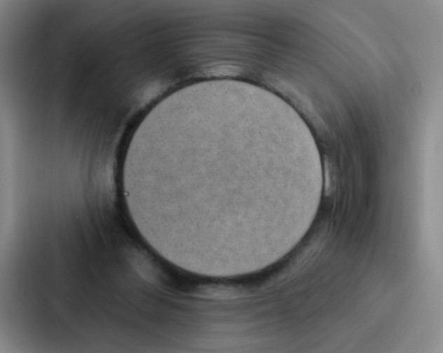 X0000086930300200705141748