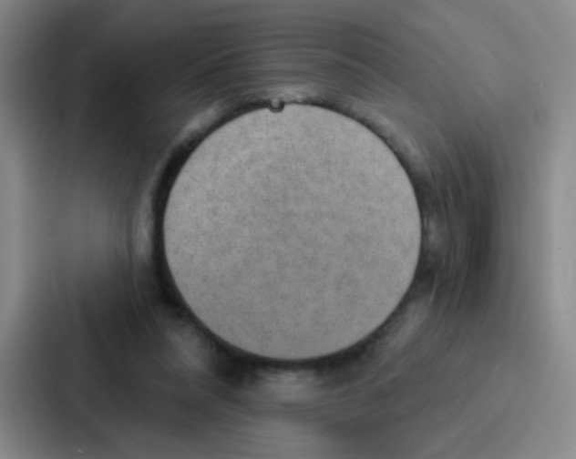 X0000086930304200705141747