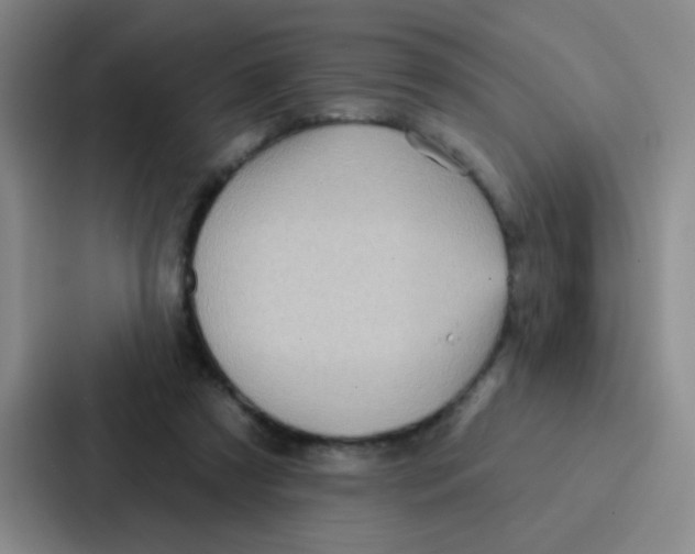 X0000086930305200705141747