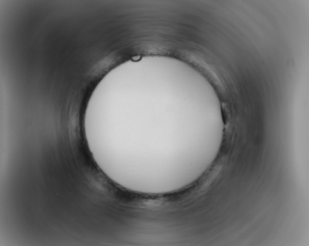 X0000086930306200705141747