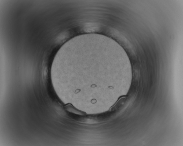 X0000086930308200705141747