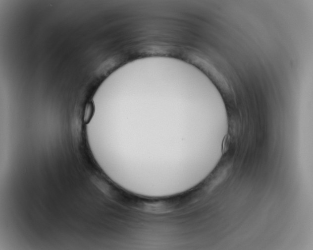 X0000086930309200705141747