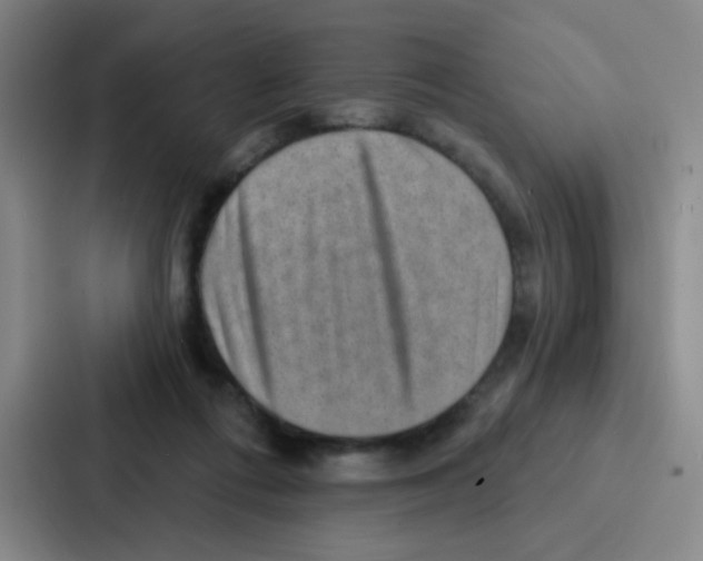 X0000086930312200705141747