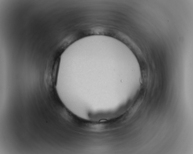 X0000086930313200705141747