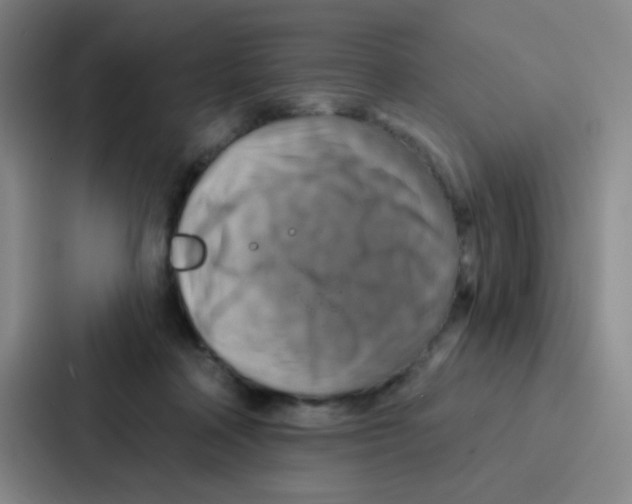 X0000086930314200705141747