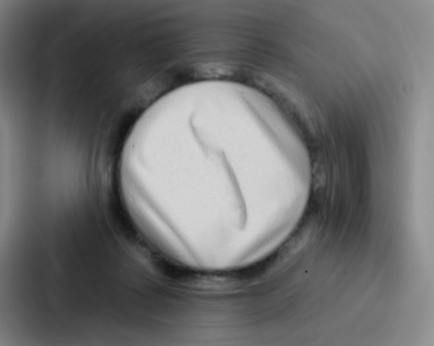 X0000086930315200705141747