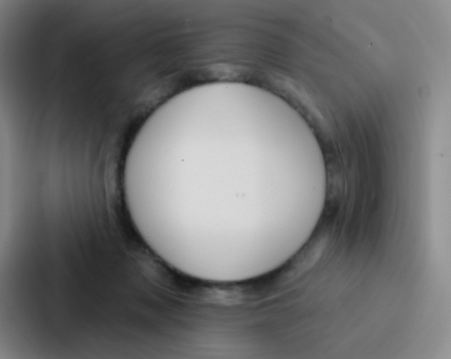 X0000086930317200705141747