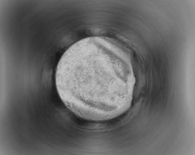 X0000086930319200705141747