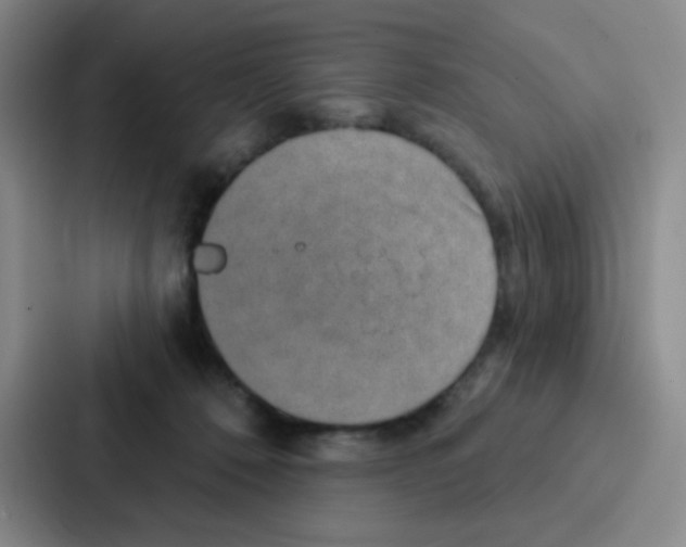 X0000086930320200705141747