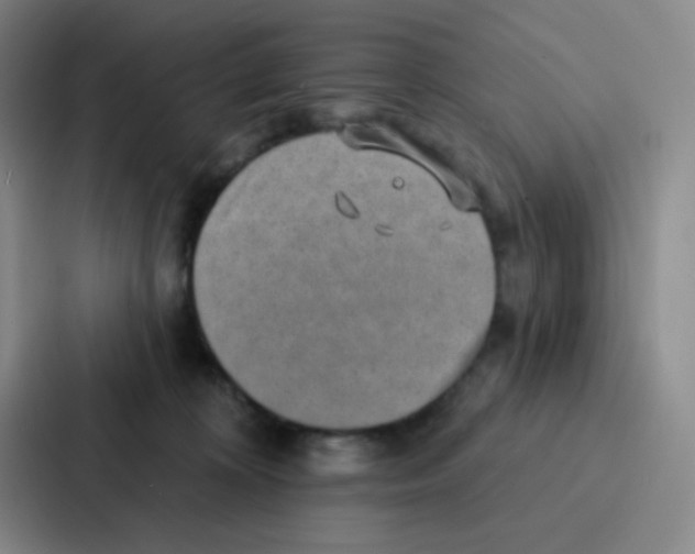 X0000086930324200705141747