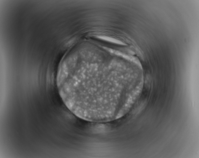 X0000086930330200705141747