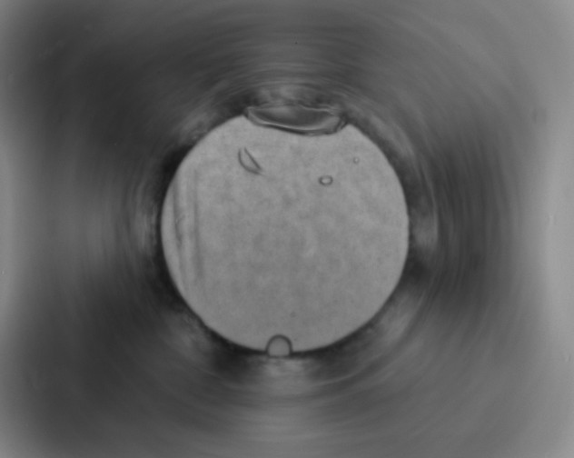 X0000086930332200705141747