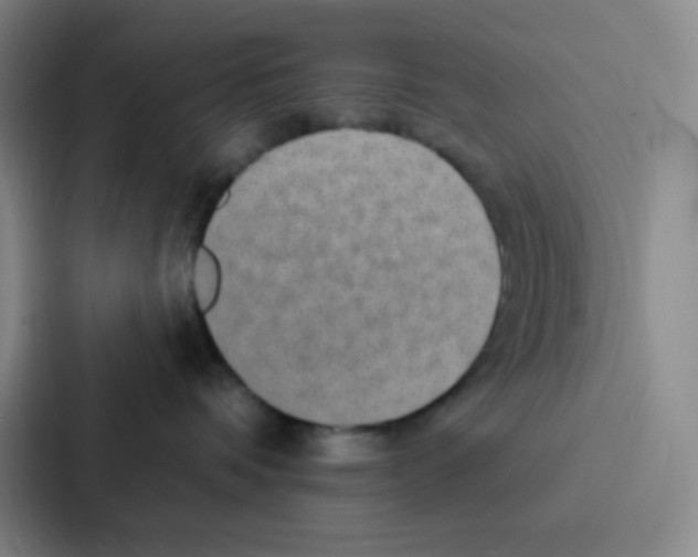 X0000086930336200705141747