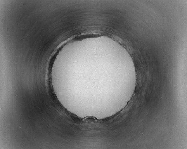 X0000086930338200705141746