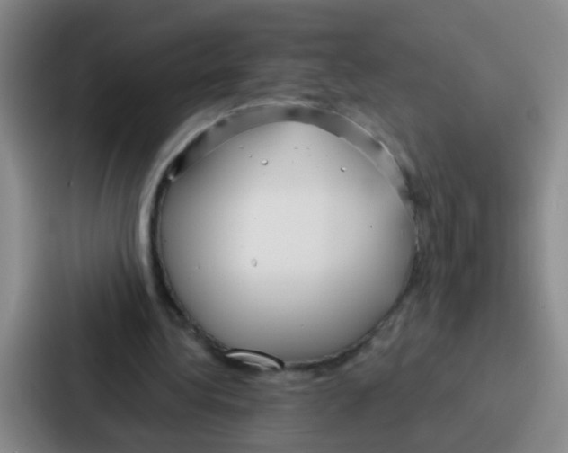 X0000086930340200705141746