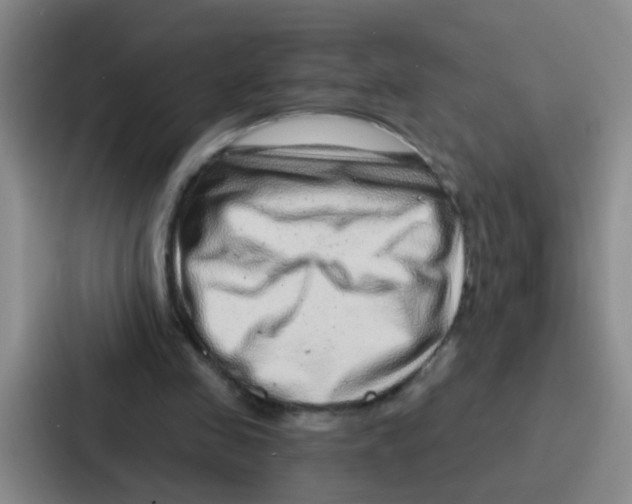 X0000086930341200705141746