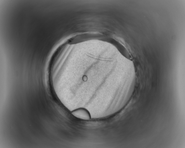 X0000086930342200705141746