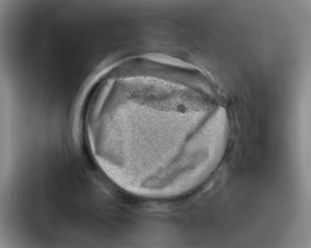 X0000086930343200705141746