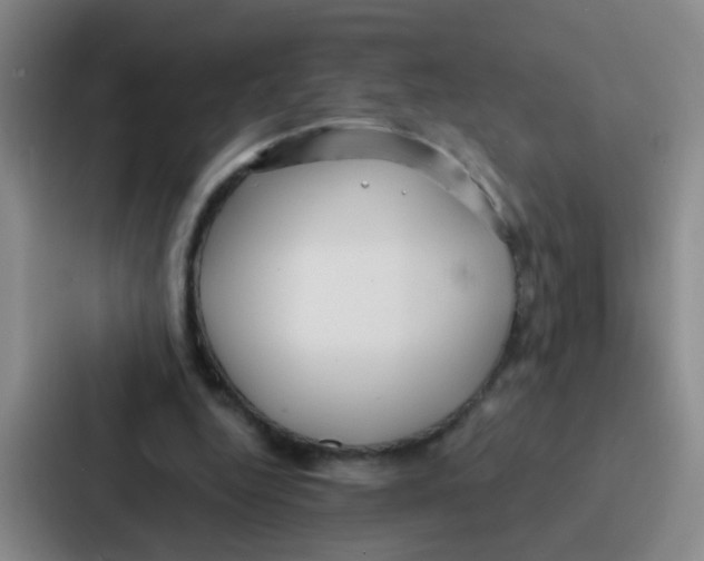 X0000086930344200705141747