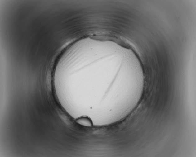 X0000086930345200705141747