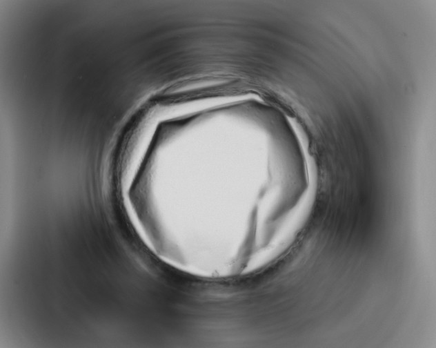 X0000086930347200705141747