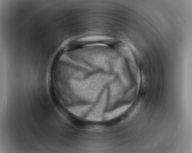 X0000086930348200705141747