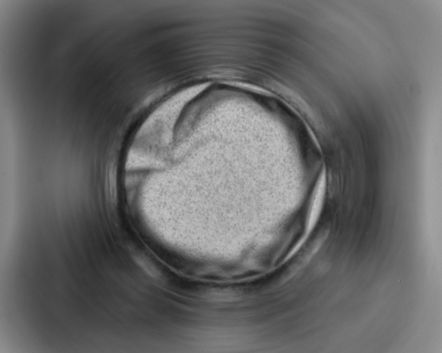 X0000086930349200705141747