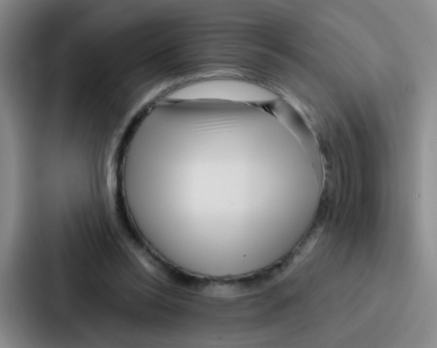 X0000086930350200705141747